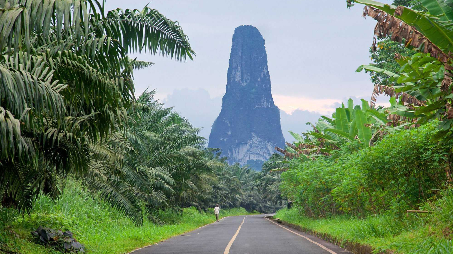 Tropical nature
